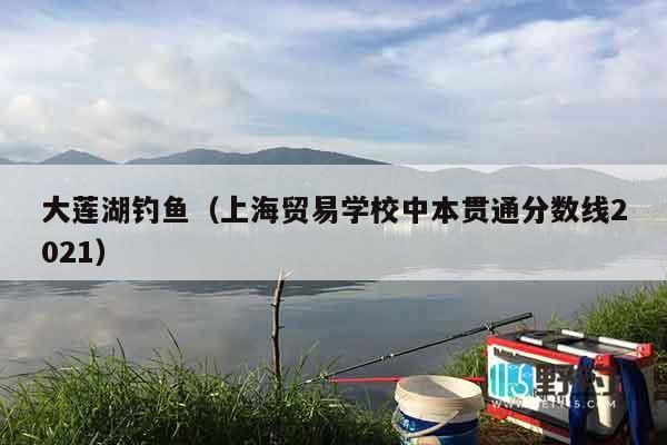 大莲湖钓鱼（上海贸易学校中本贯通分数线2021）