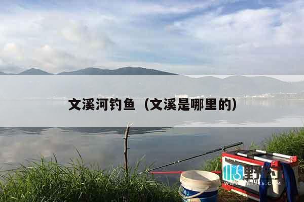文溪河钓鱼（文溪是哪里的）
