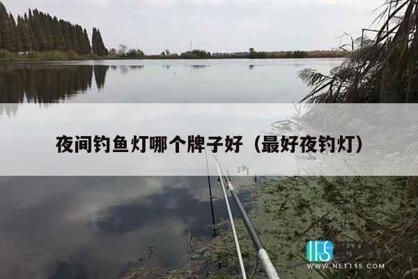 夜间钓鱼灯哪个牌子好（最好夜钓灯）