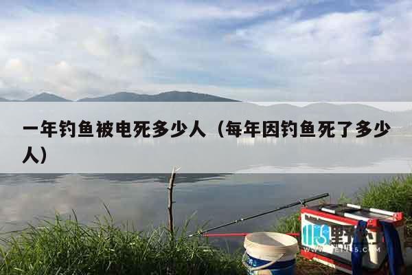 一年钓鱼被电死多少人（每年因钓鱼死了多少人）