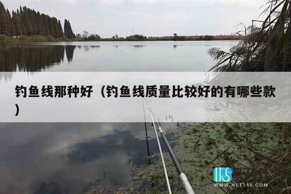 钓鱼线那种好（钓鱼线质量比较好的有哪些款）