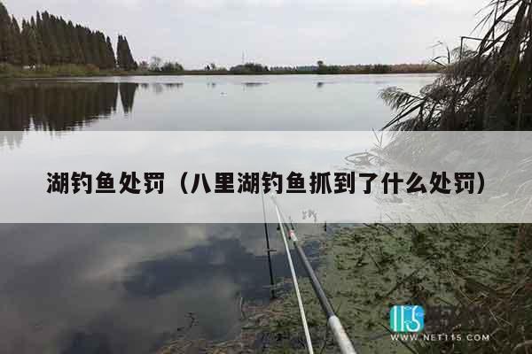 湖钓鱼处罚（八里湖钓鱼抓到了什么处罚）