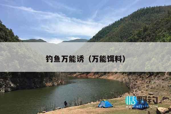 钓鱼万能诱（万能饵料）