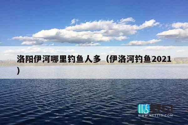 洛阳伊河哪里钓鱼人多（伊洛河钓鱼2021）