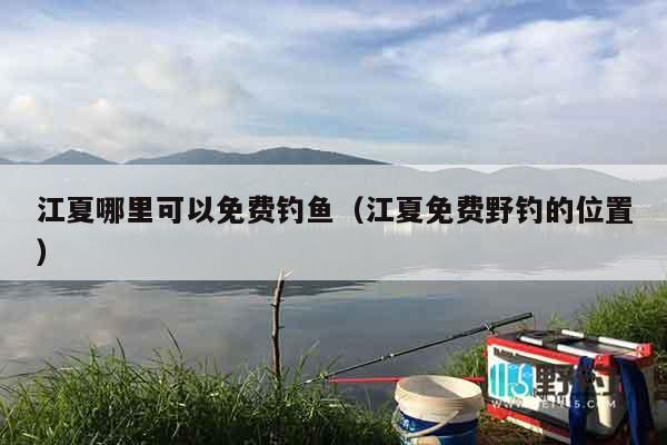 江夏哪里可以免费钓鱼（江夏免费野钓的位置）