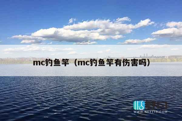 mc钓鱼竿（mc钓鱼竿有伤害吗）