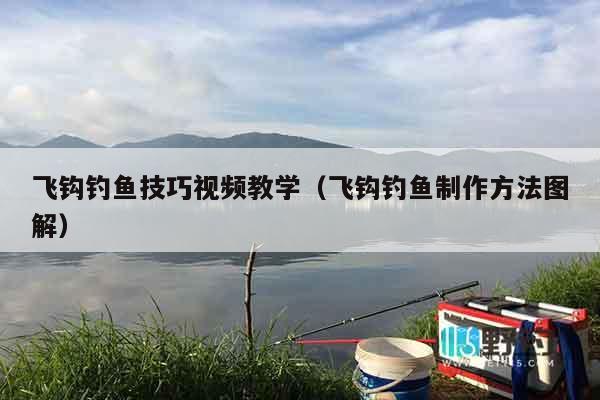 飞钩钓鱼技巧视频教学（飞钩钓鱼制作方法图解）