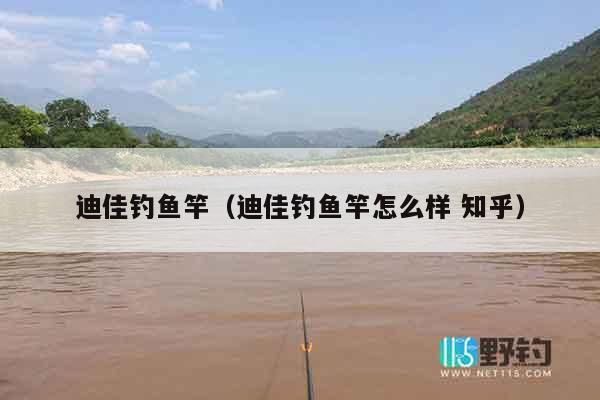 迪佳钓鱼竿（迪佳钓鱼竿怎么样 知乎）