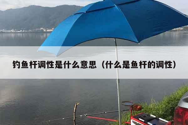 钓鱼杆调性是什么意思（什么是鱼杆的调性）