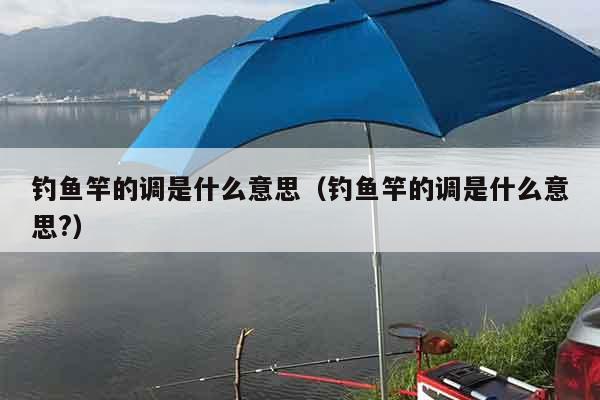 钓鱼竿的调是什么意思（钓鱼竿的调是什么意思?）