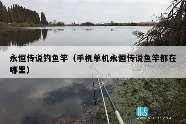 永恒传说钓鱼竿（手机单机永恒传说鱼竿都在哪里）