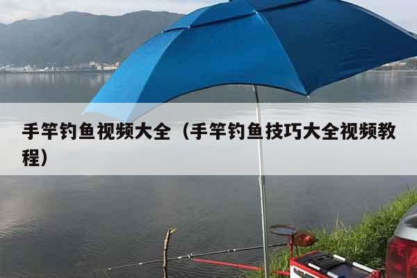 手竿钓鱼视频大全（手竿钓鱼技巧大全视频教程）