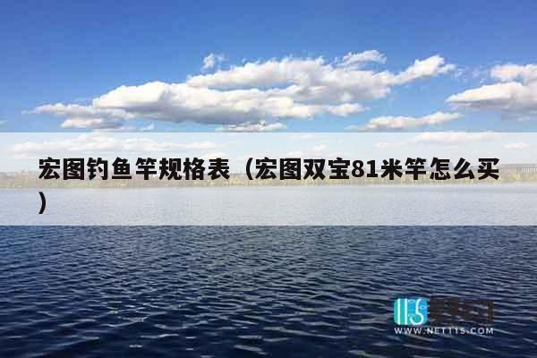 宏图钓鱼竿规格表（宏图双宝81米竿怎么买）