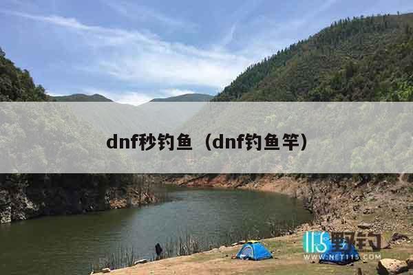 dnf秒钓鱼（dnf钓鱼竿）