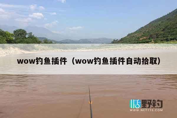 wow钓鱼插件（wow钓鱼插件自动拾取）