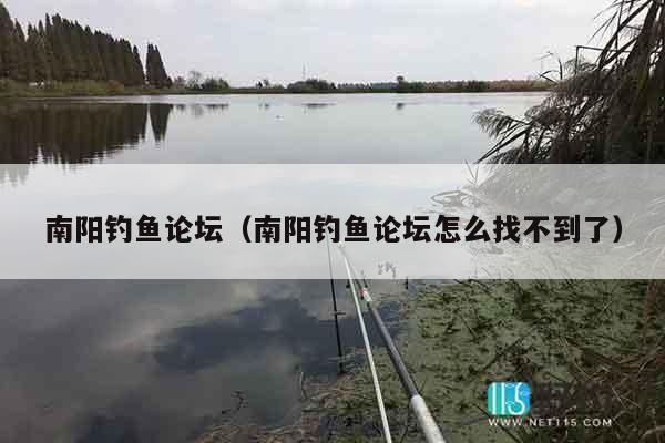 南阳钓鱼论坛（南阳钓鱼论坛怎么找不到了）