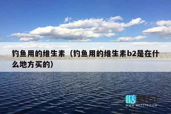 钓鱼用的维生素（钓鱼用的维生素b2是在什么地方买的）