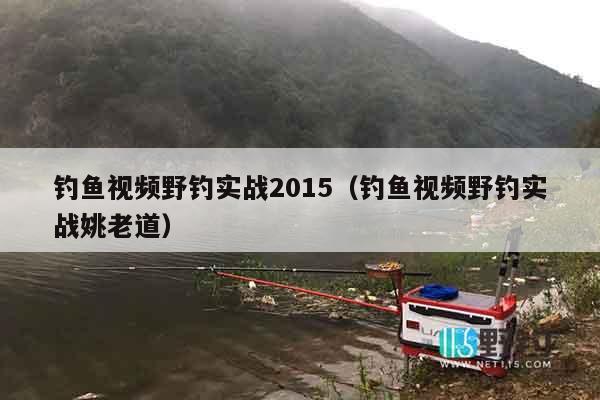 钓鱼视频野钓实战2015（钓鱼视频野钓实战姚老道）