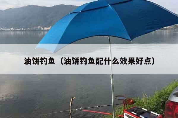 油饼钓鱼（油饼钓鱼配什么效果好点）