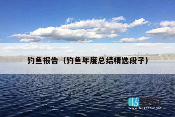 钓鱼报告（钓鱼年度总结精选段子）