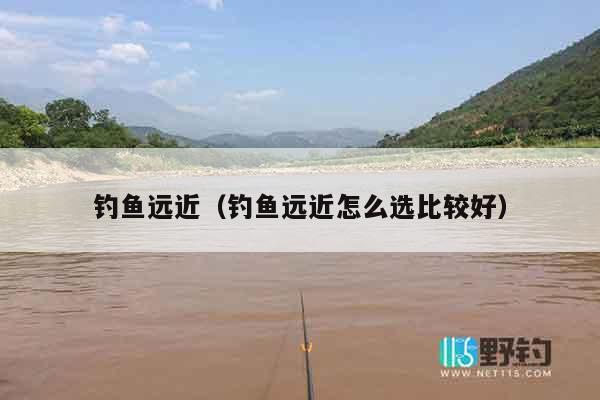 钓鱼远近（钓鱼远近怎么选比较好）