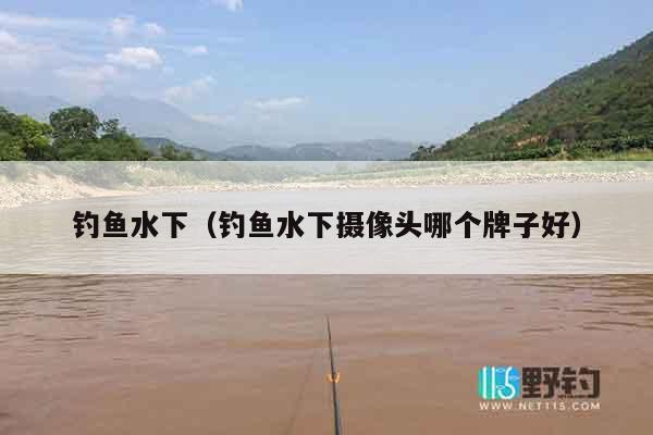钓鱼水下（钓鱼水下摄像头哪个牌子好）