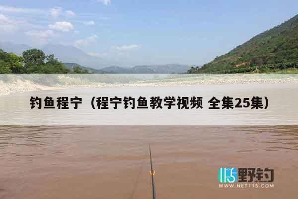 钓鱼程宁（程宁钓鱼教学视频 全集25集）