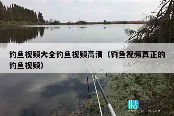 钓鱼视频大全钓鱼视频高清（钓鱼视频真正的钓鱼视频）