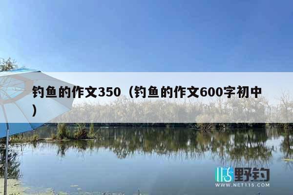 钓鱼的作文350（钓鱼的作文600字初中）