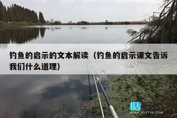 钓鱼的启示的文本解读（钓鱼的启示课文告诉我们什么道理）