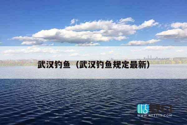 武汉钓鱼（武汉钓鱼规定最新）