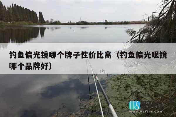 钓鱼偏光镜哪个牌子性价比高（钓鱼偏光眼镜哪个品牌好）