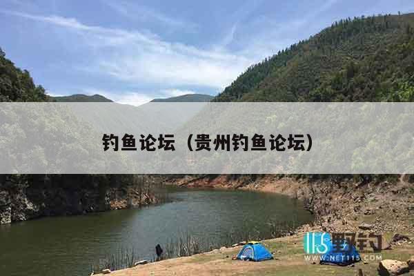 钓鱼论坛（贵州钓鱼论坛）