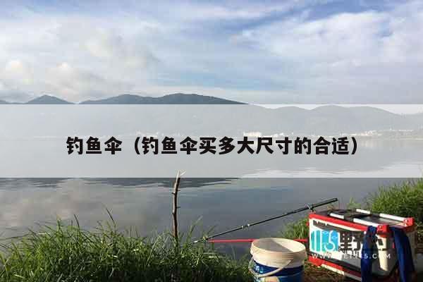 钓鱼伞（钓鱼伞买多大尺寸的合适）