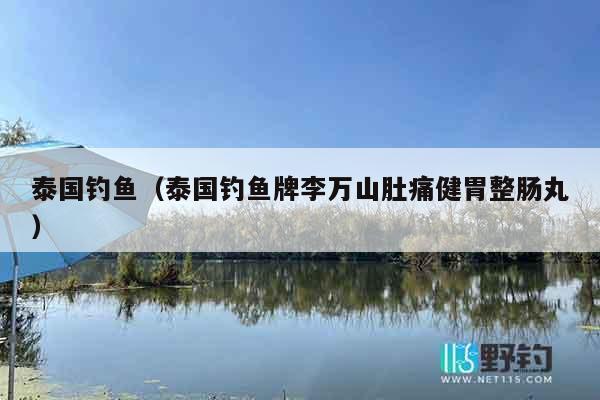 泰国钓鱼（泰国钓鱼牌李万山肚痛健胃整肠丸）