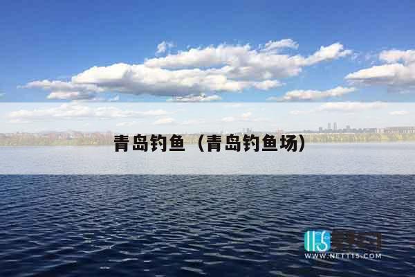 青岛钓鱼（青岛钓鱼场）