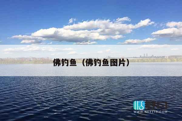 佛钓鱼（佛钓鱼图片）