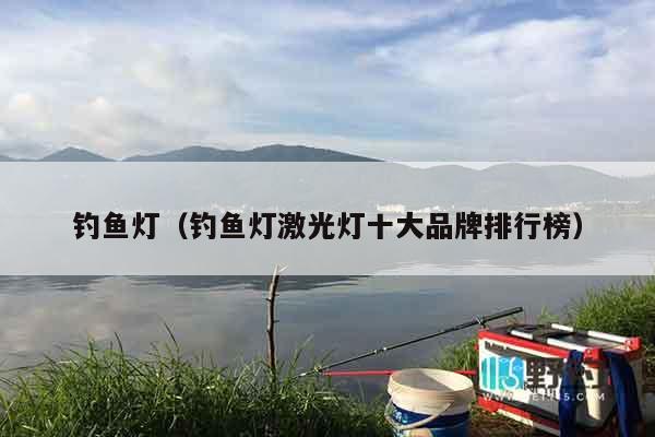 钓鱼灯（钓鱼灯激光灯十大品牌排行榜）