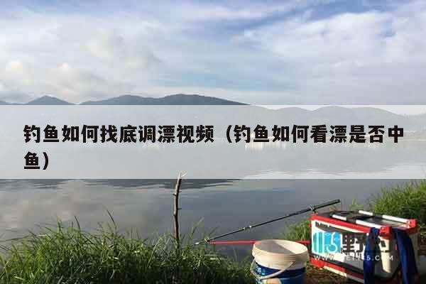 钓鱼如何找底调漂视频（钓鱼如何看漂是否中鱼）