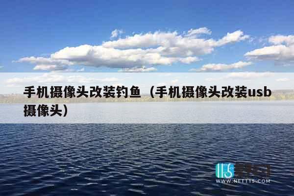 手机摄像头改装钓鱼（手机摄像头改装usb摄像头）