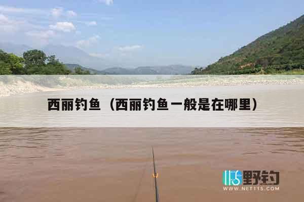 西丽钓鱼（西丽钓鱼一般是在哪里）
