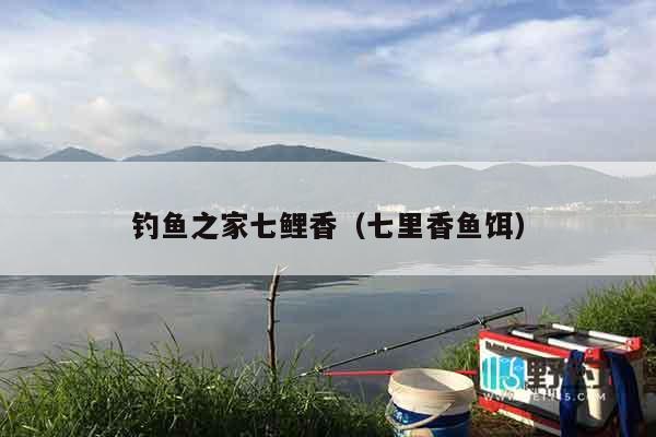 钓鱼之家七鲤香（七里香鱼饵）