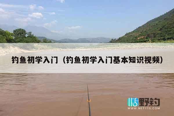 钓鱼初学入门（钓鱼初学入门基本知识视频）