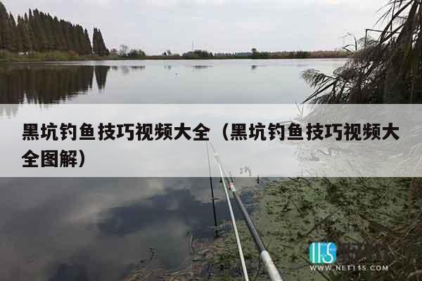 黑坑钓鱼技巧视频大全（黑坑钓鱼技巧视频大全图解）