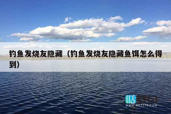 钓鱼发烧友隐藏（钓鱼发烧友隐藏鱼饵怎么得到）
