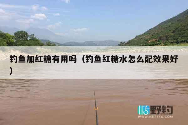 钓鱼加红糖有用吗（钓鱼红糖水怎么配效果好）