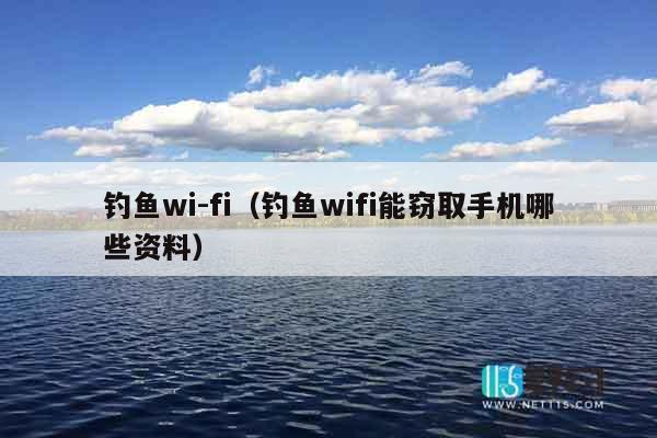 钓鱼wi-fi（钓鱼wifi能窃取手机哪些资料）