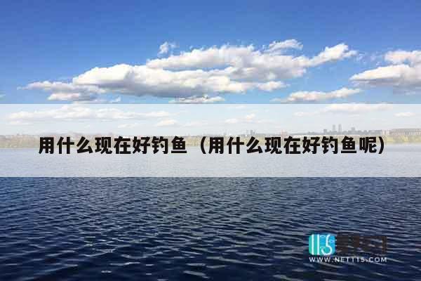 用什么现在好钓鱼（用什么现在好钓鱼呢）