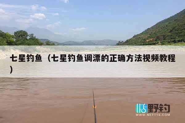七星钓鱼（七星钓鱼调漂的正确方法视频教程）