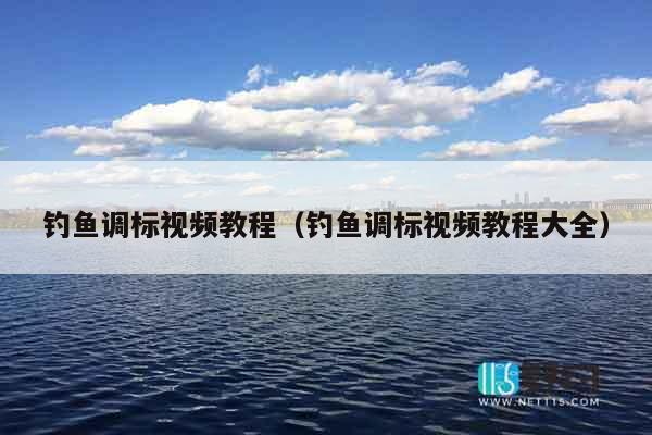 钓鱼调标视频教程（钓鱼调标视频教程大全）